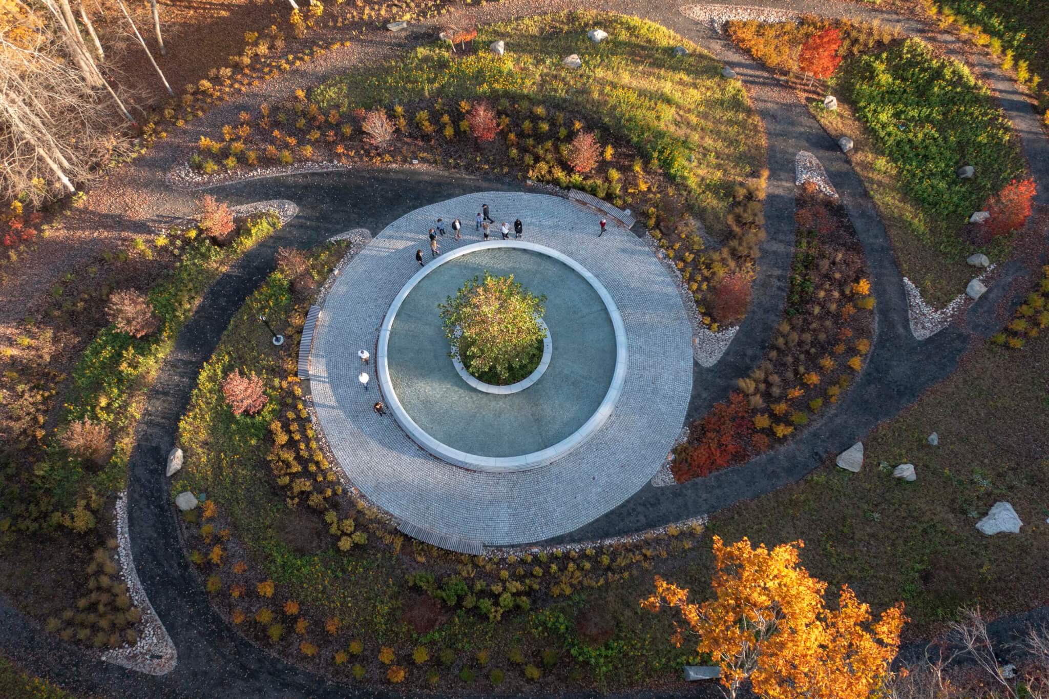 aerial view of people gathered around circular reflecting pond with a tree in the middle