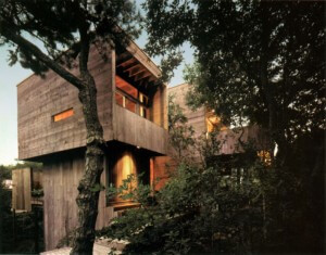modernist wooden house with trees