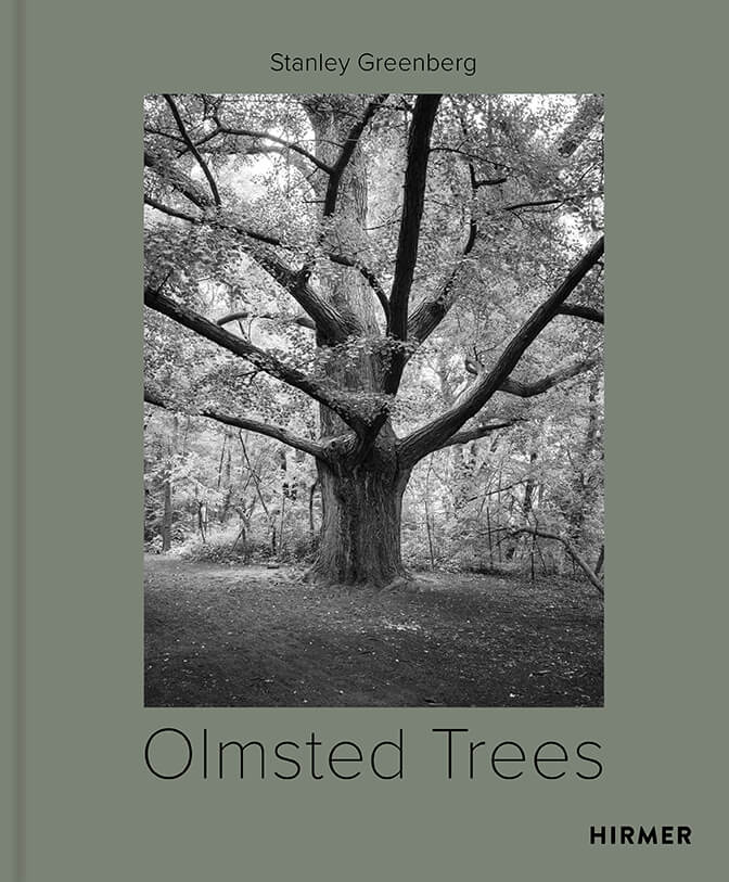 green book cover with black and photograph of a tree