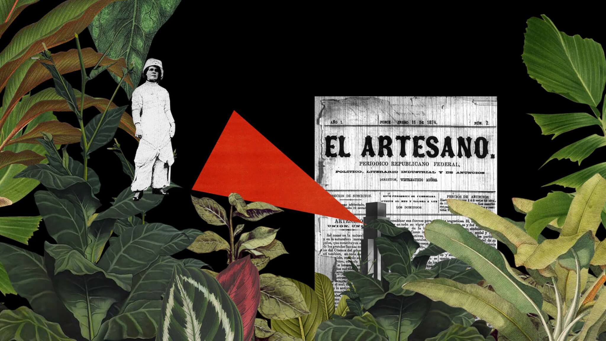 tropical plants with red flag and newspaper