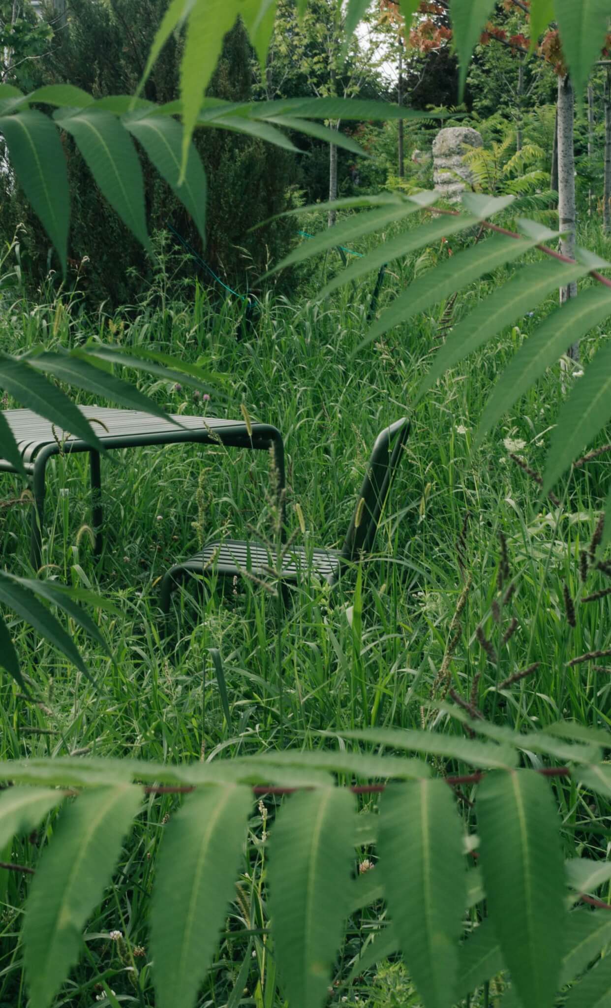 chair with plants