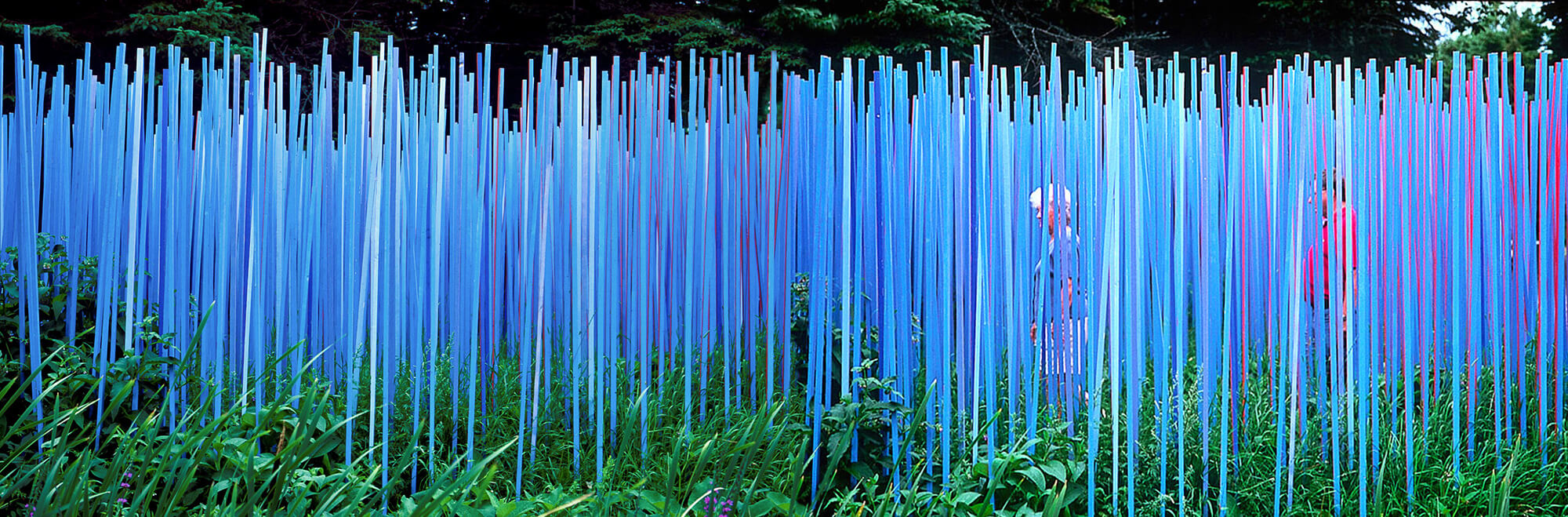 cc 4 Blue Stick Garden Jardins de Métis QC 2000. Photo ©
