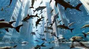 sharks swimming in new york city streets