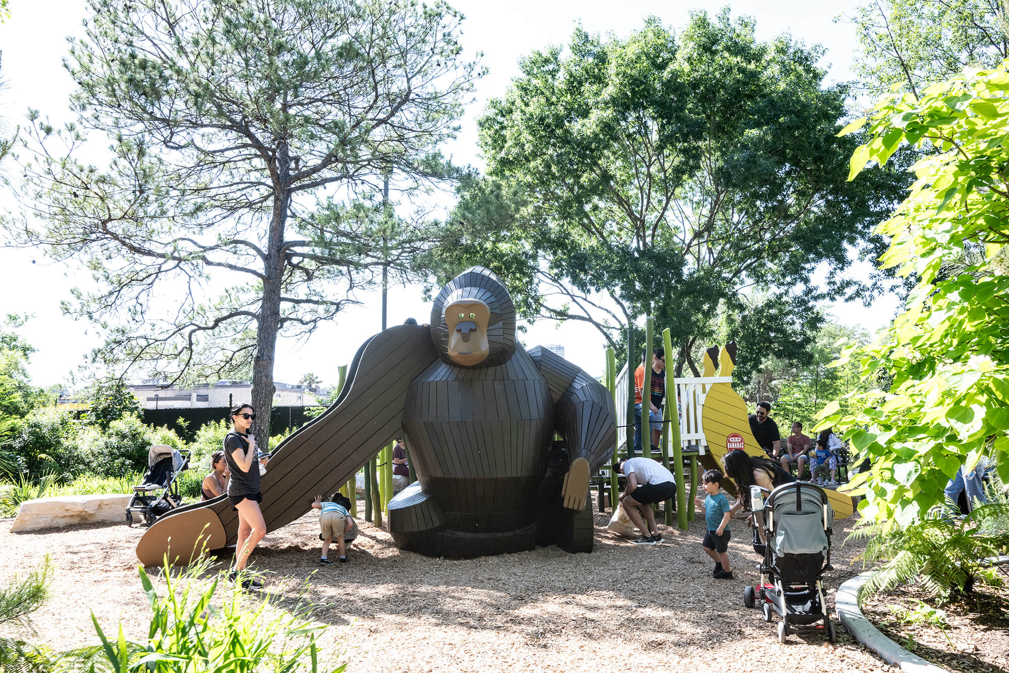 gorilla at playground
