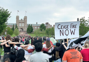 protest at Washington University in Tisch Park